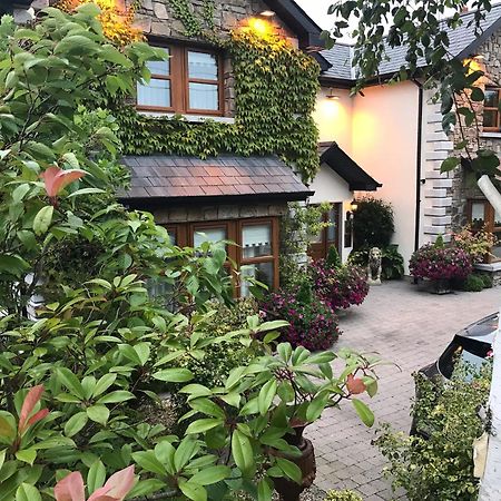 Avlon House Bed And Breakfast Carlow Exterior photo