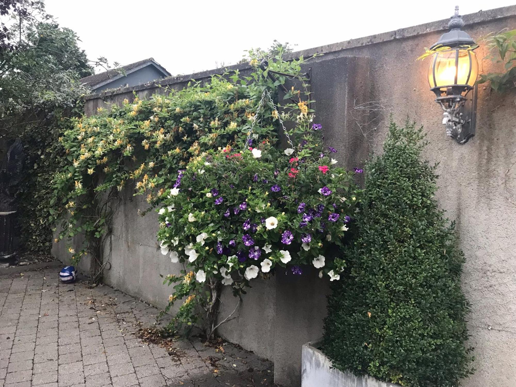 Avlon House Bed And Breakfast Carlow Exterior photo